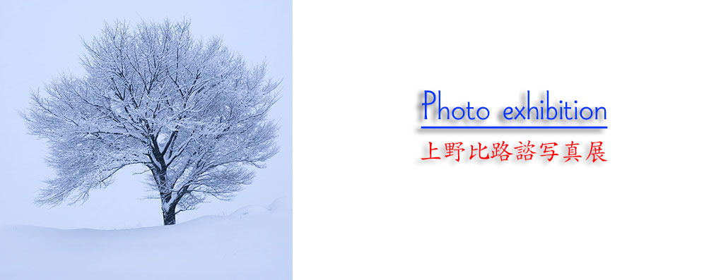 うえのひろし寫眞舘